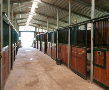 Agricultural and Farm Buildings - Equine Housing for stabling - DFC Steel Construction